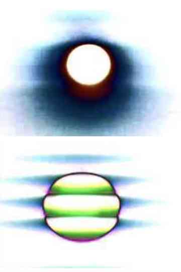 Affection Exonerate Poster