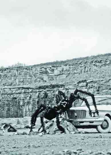 As Long as the Stratified Animal Lights Up Poster