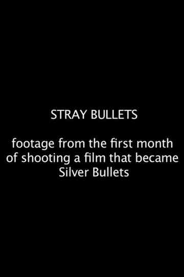 Stray Bullets Poster
