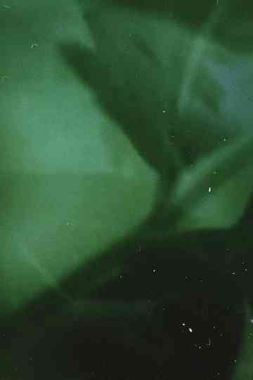 The Crystal Text Poster