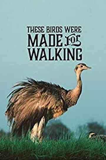 These Birds Were Made for Walking poster