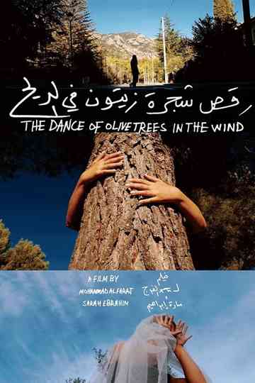 The Dance of Olive Trees in the Wind Poster