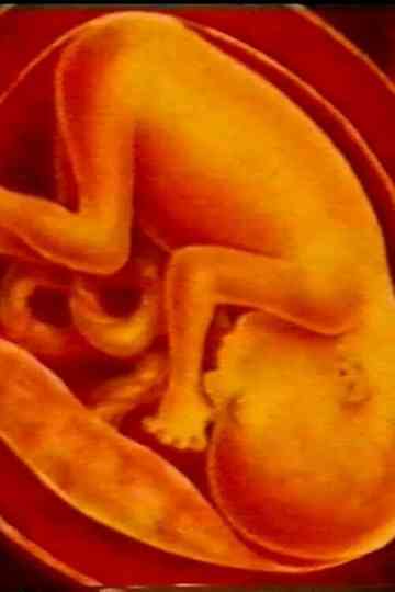 Opus Incertum Poster