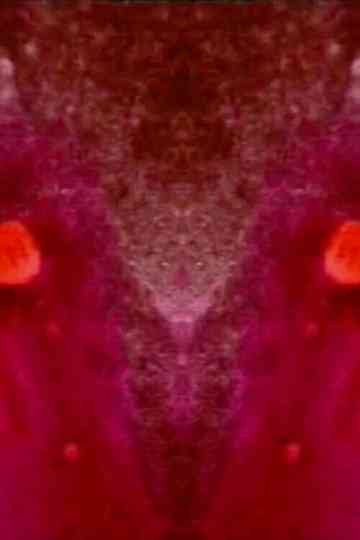 Estudio En Rojo Poster