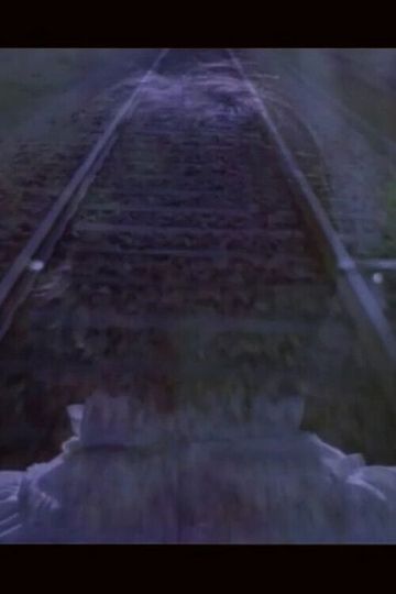 De la hospitalidad derecho de autor