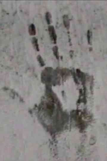 Abstracciones Poster