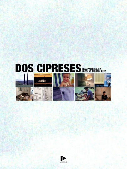 Dos cipreses Poster