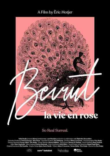 Beirut la vie en rose poster