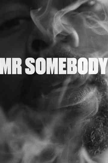 Mr Somebody Poster