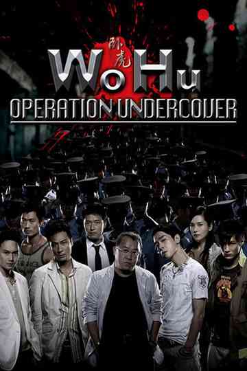 Wo Hu Poster