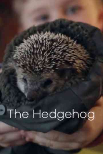 The Hedgehog Poster