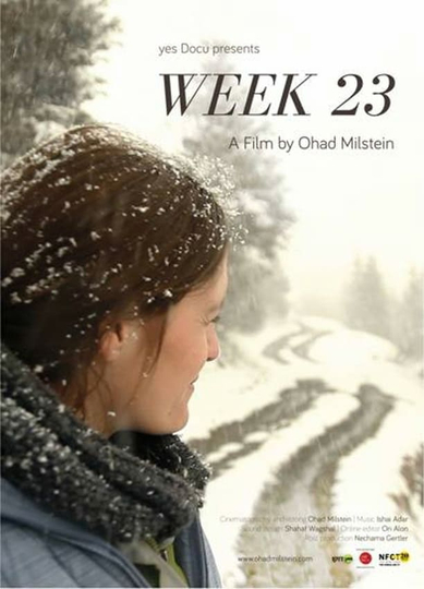 Week 23