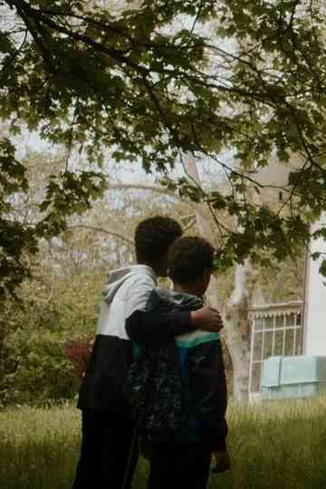 Bats in the Night Poster