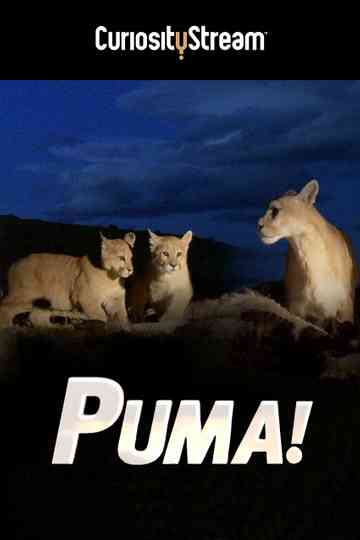 Puma! Poster