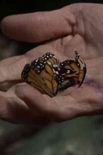 The devil in the details Poster