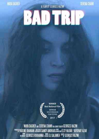 Bad Trip Poster
