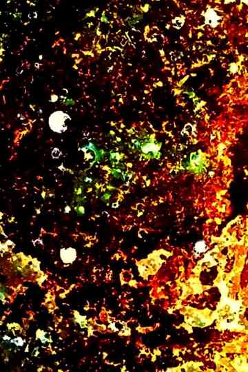 Atrapado en el sueño de otro Poster