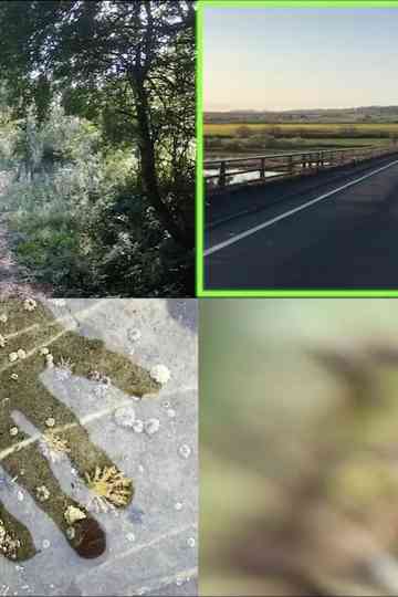 Everyday Apocalypse Poster