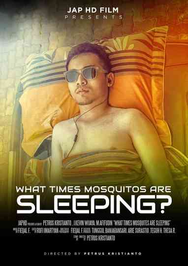 What Times Mosquitos Are Sleeping? Poster
