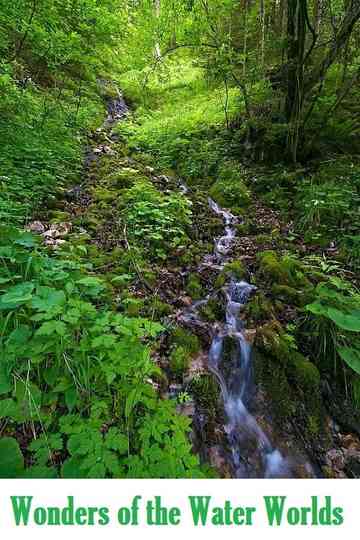 Wonders of the Water Worlds Poster