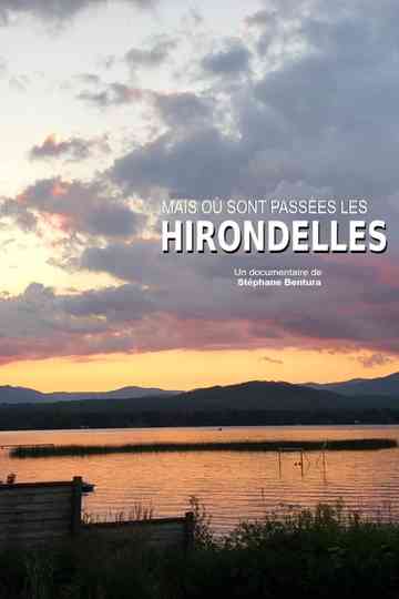 Où sont passées les hirondelles poster
