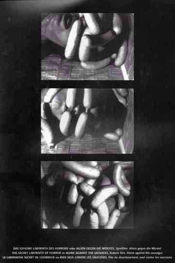 Das geheime Labyrinth des Horrors Poster