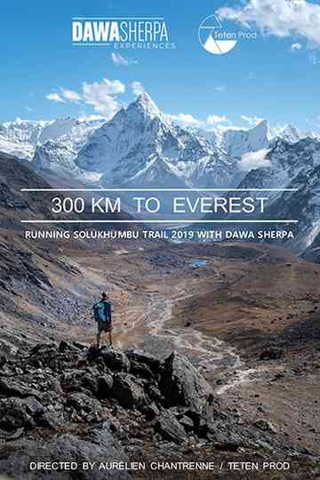 300 KM TO EVEREST Poster
