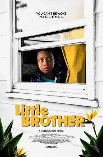 Little Brother Poster