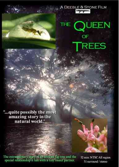 The Queen of Trees Poster