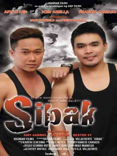 Sibak If You Want to Go Back Dont Look Back