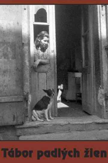 Camp of Fallen Women Poster