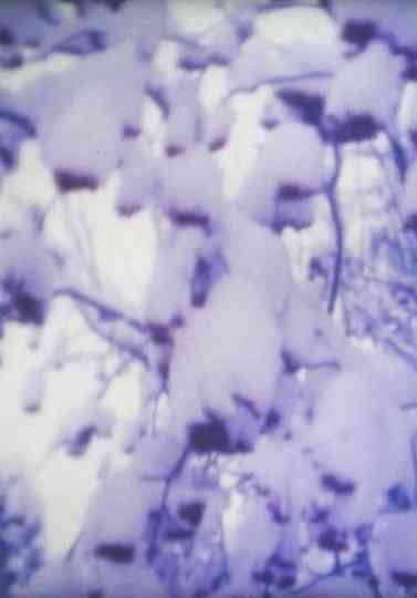 Merry Christmas Poster