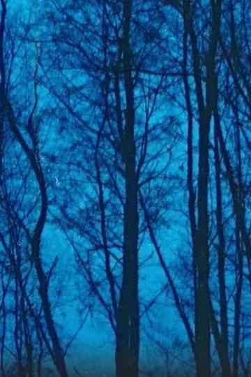 Desastres naturales Poster