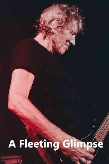 A Fleeting Glimpse Poster