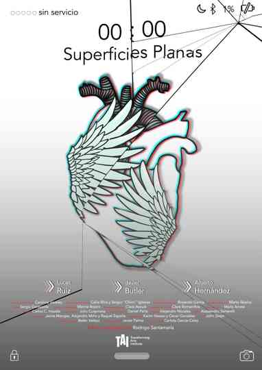Superficies Planas Poster