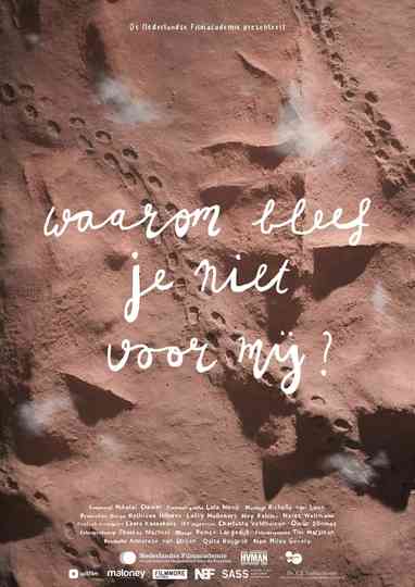 Why Didn’t You Stay for Me? Poster