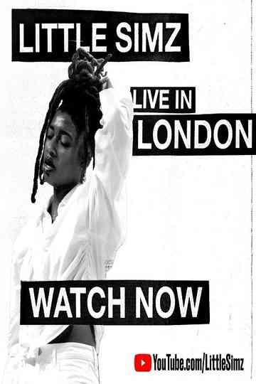 Live In London  Little Simz Poster