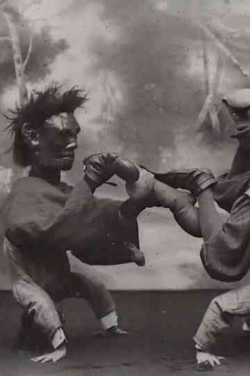 Upside Down Boxers Poster