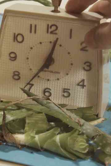 The Protagonists Poster