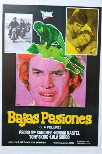 Bajas pasiones Poster