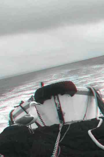 Portuguese Sea Poster