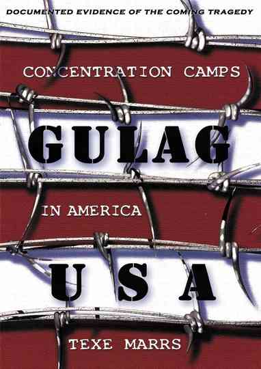 Gulag USAConcentration Camps in America Poster