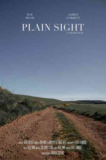 Plain Sight poster