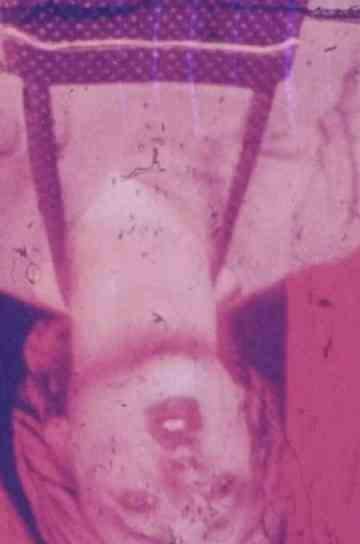 Mis en pièces Poster