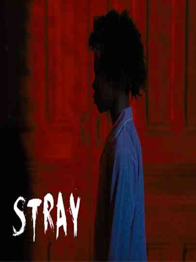 Stray Poster