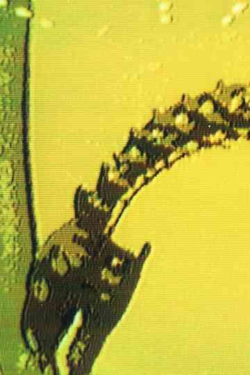 War or Peace? Poster