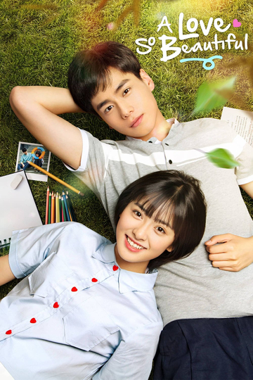 A Love So Beautiful Poster