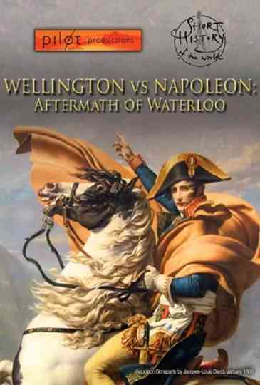 Wellington vs Napoleon Aftermath of Waterloo Poster
