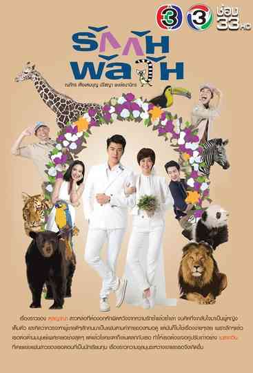 Confusedly In Love Poster