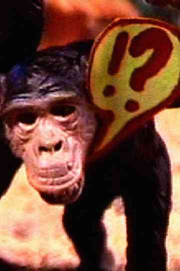 LisboaBoa 345 AE poster